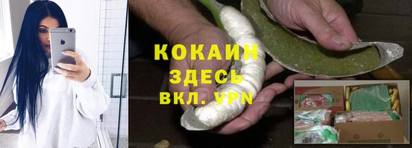 PSILOCYBIN Кодинск