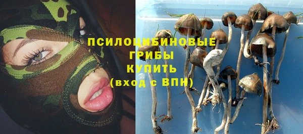 PSILOCYBIN Кодинск