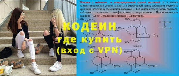 PSILOCYBIN Кодинск