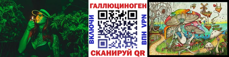 купить закладку Первоуральск МЕГА как войти Псилоцибиновые грибы мухоморы
